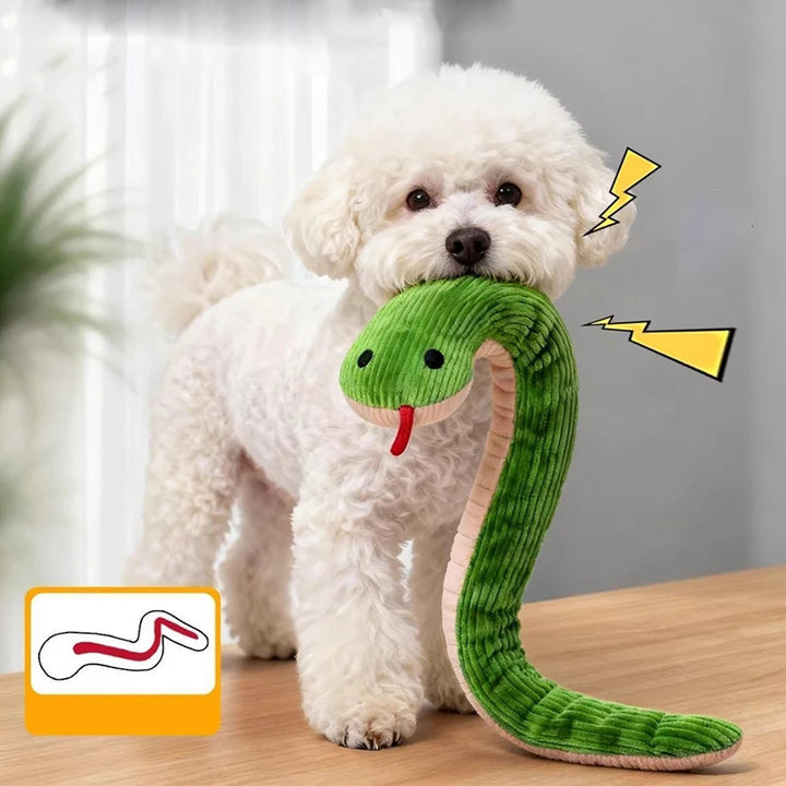 Pet Toy