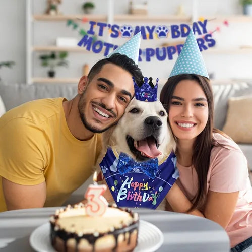 Blue Dog Birthday Party Set