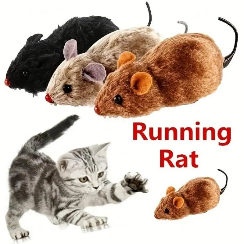 Pet Toy