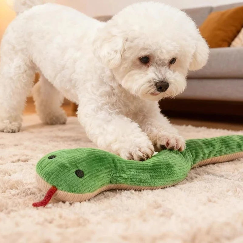 Pet Toy