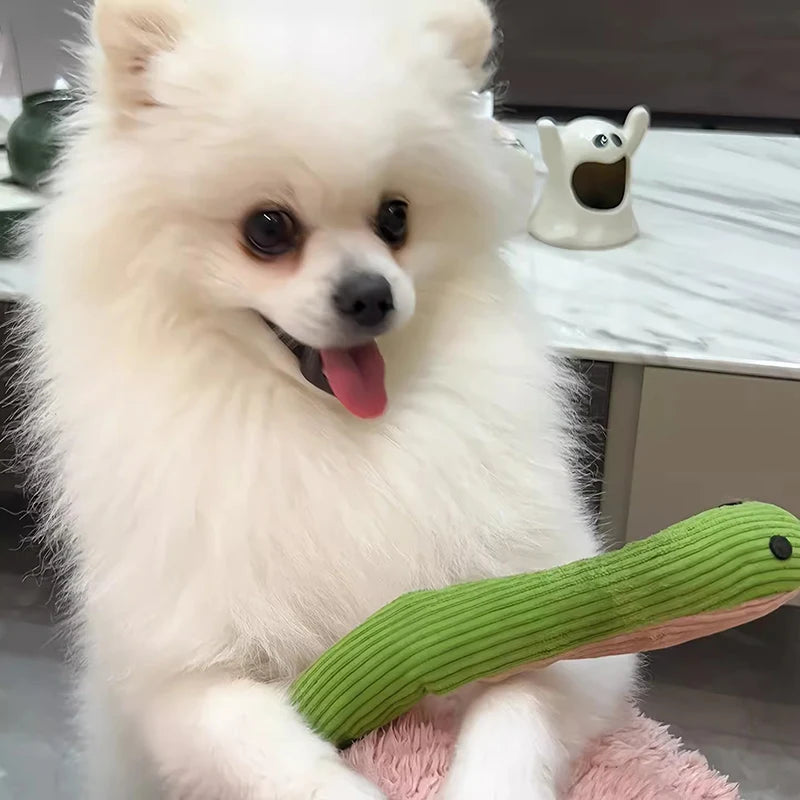 Pet Toy