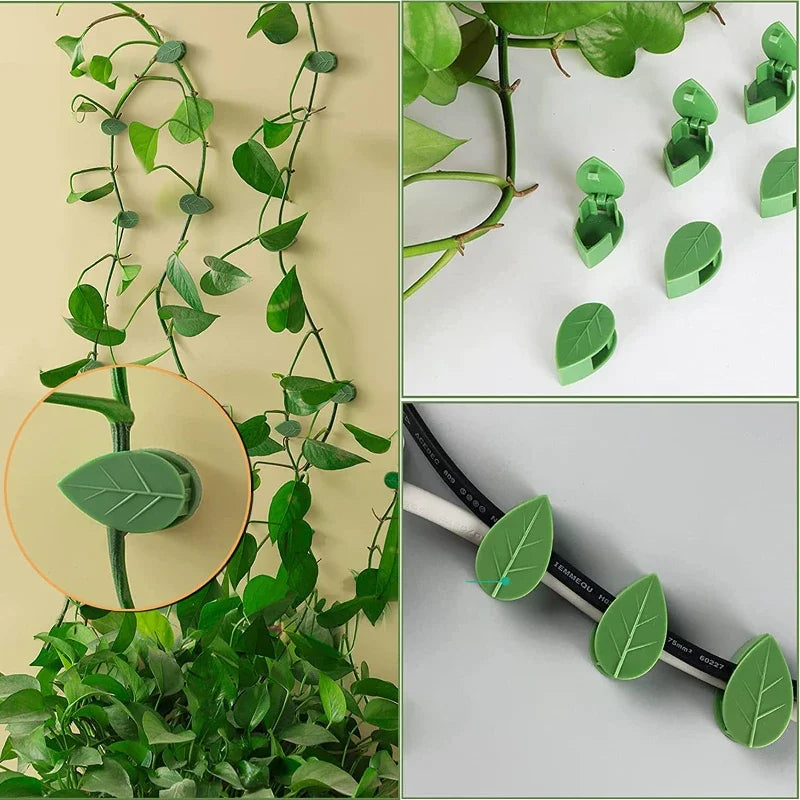 Plant Support Clips