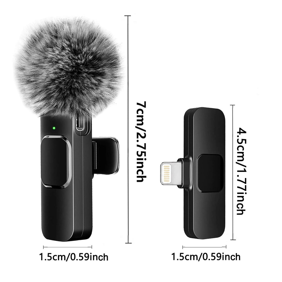 Microphone