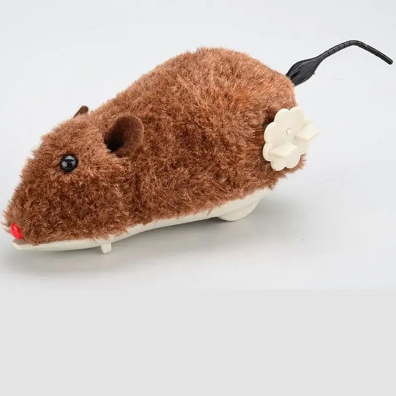 Pet Toy