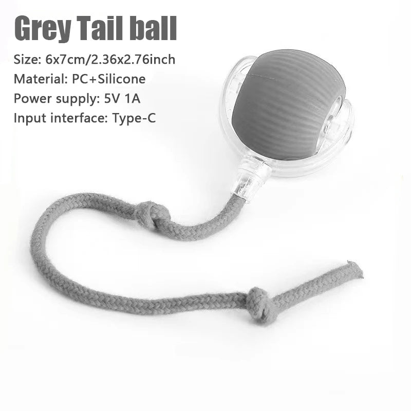 Pet Toy