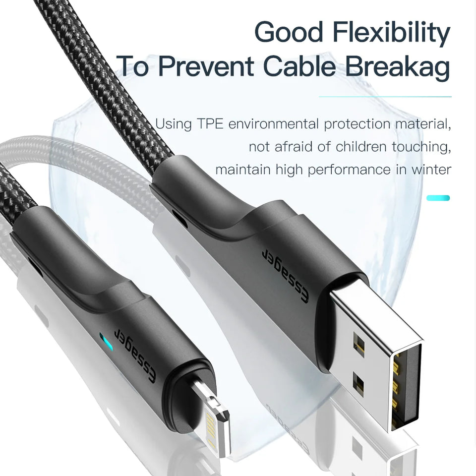 Charging Cable