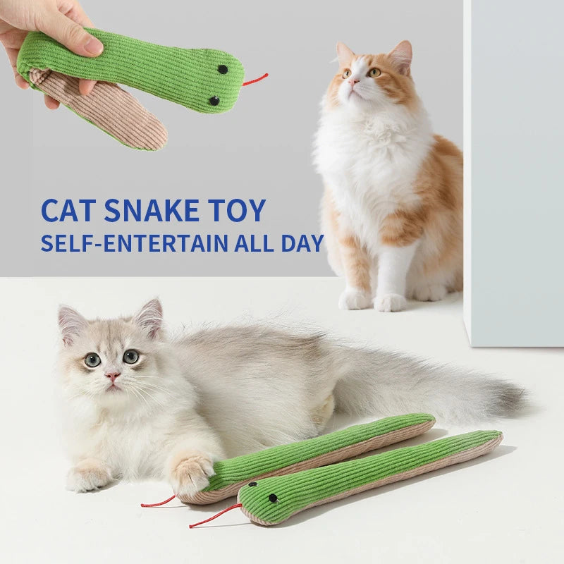 Pet Toy
