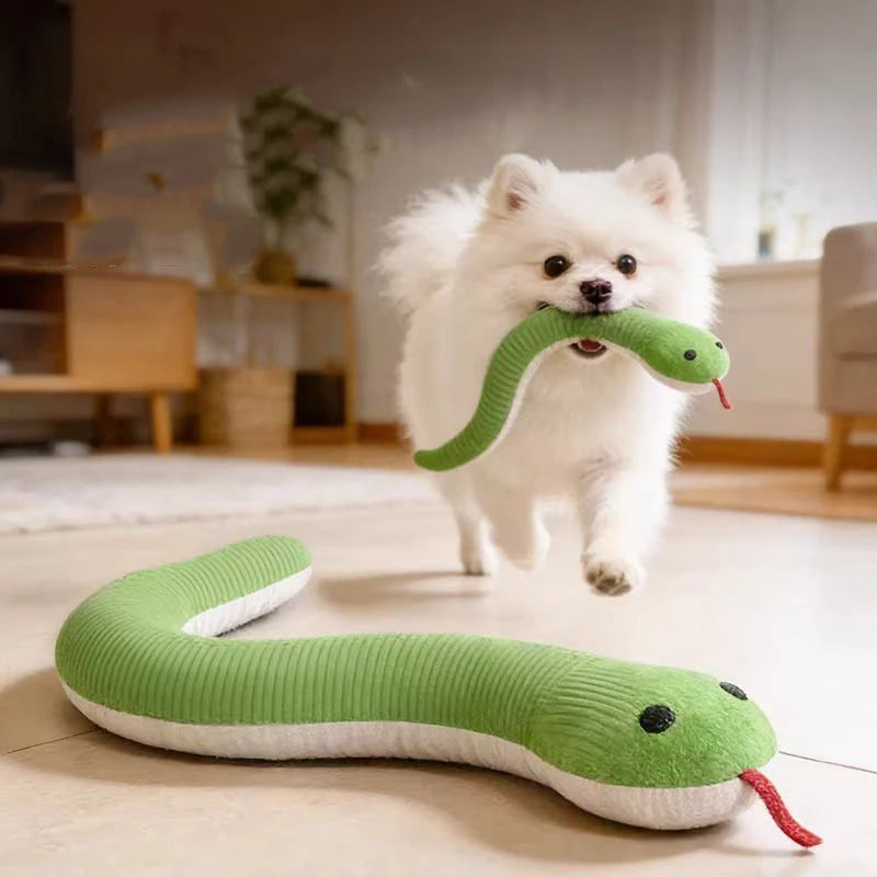 Pet Toy