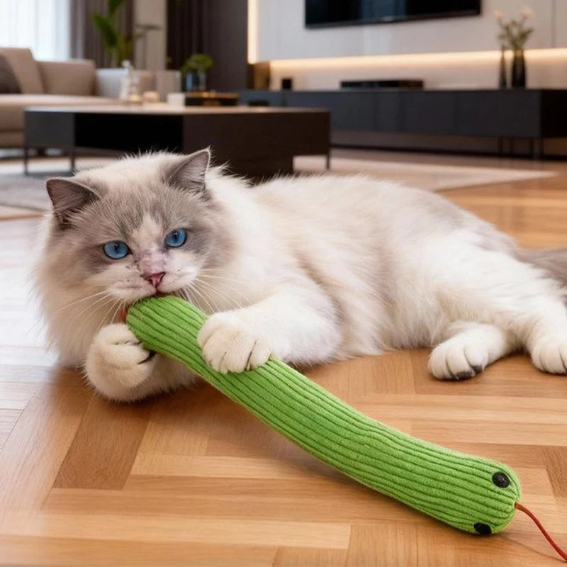 Pet Toy