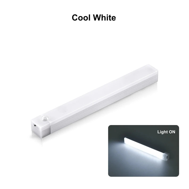 Decorative Light