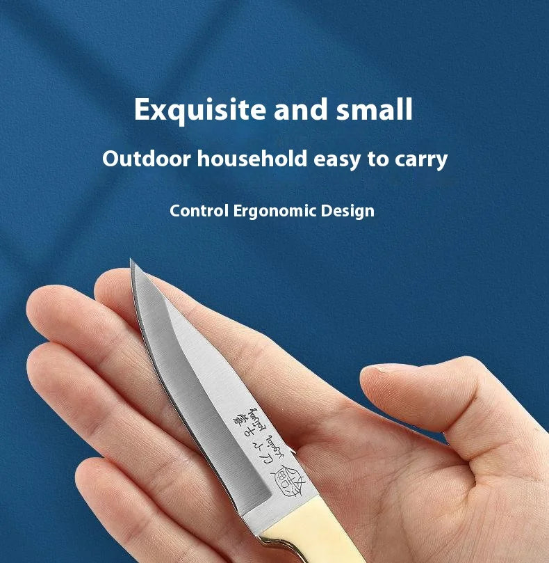 Compact Kitchen and Barbecue Knife