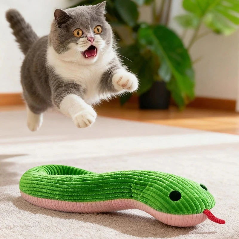 Pet Toy