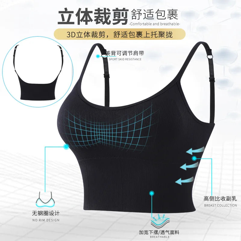 Women's Crop Top