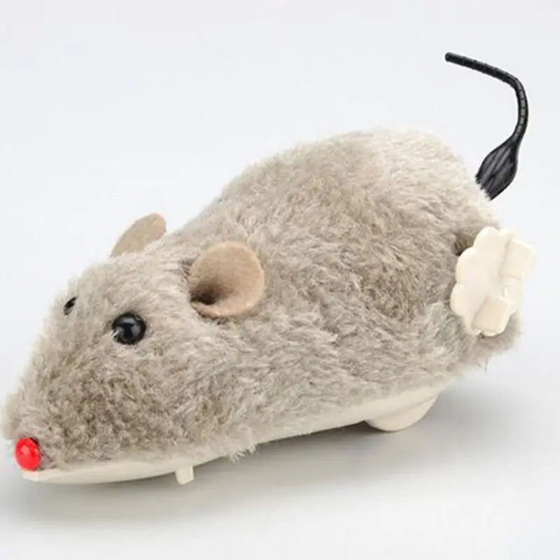 Pet Toy