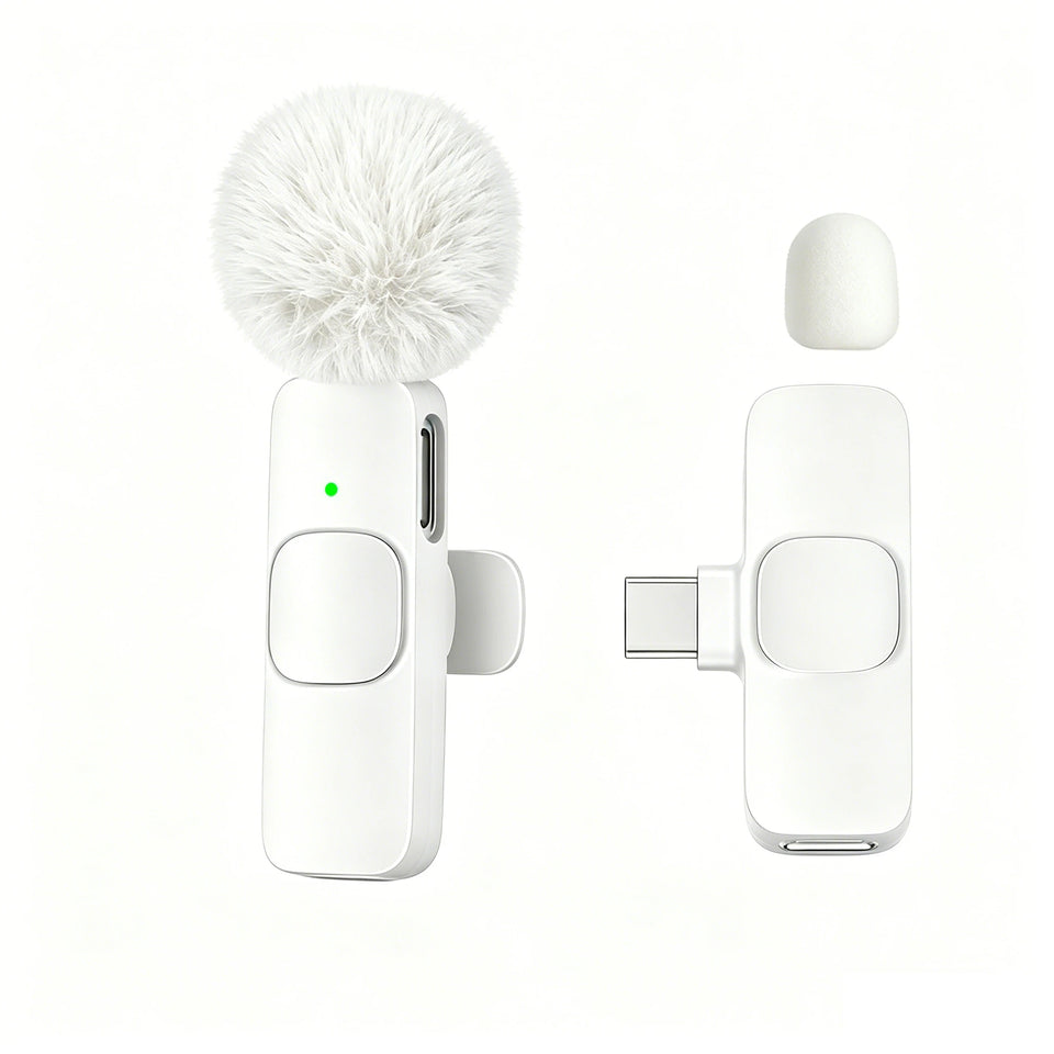 Microphone