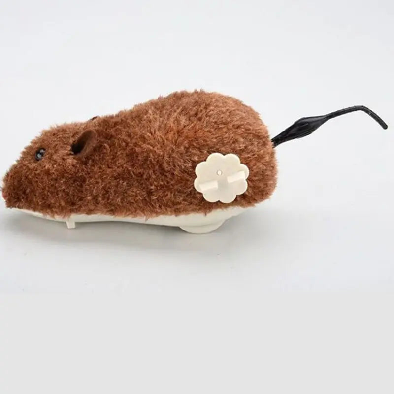 Pet Toy