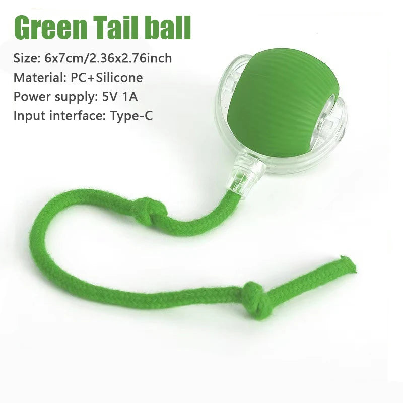 Pet Toy