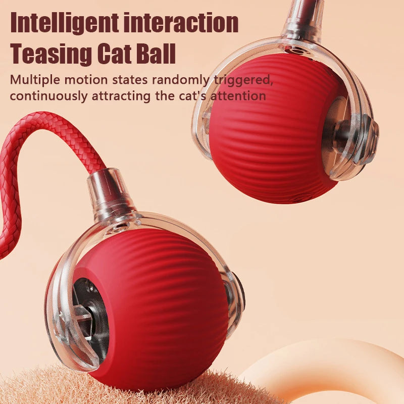 Pet Toy