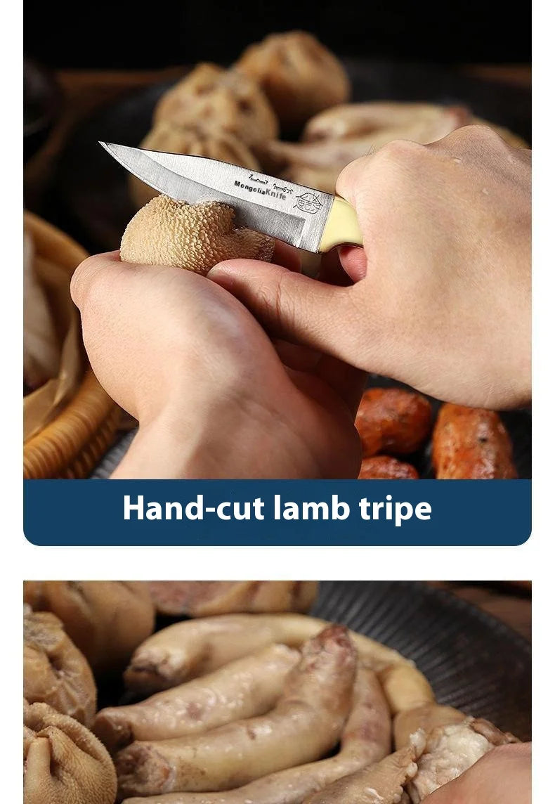 Compact Kitchen and Barbecue Knife