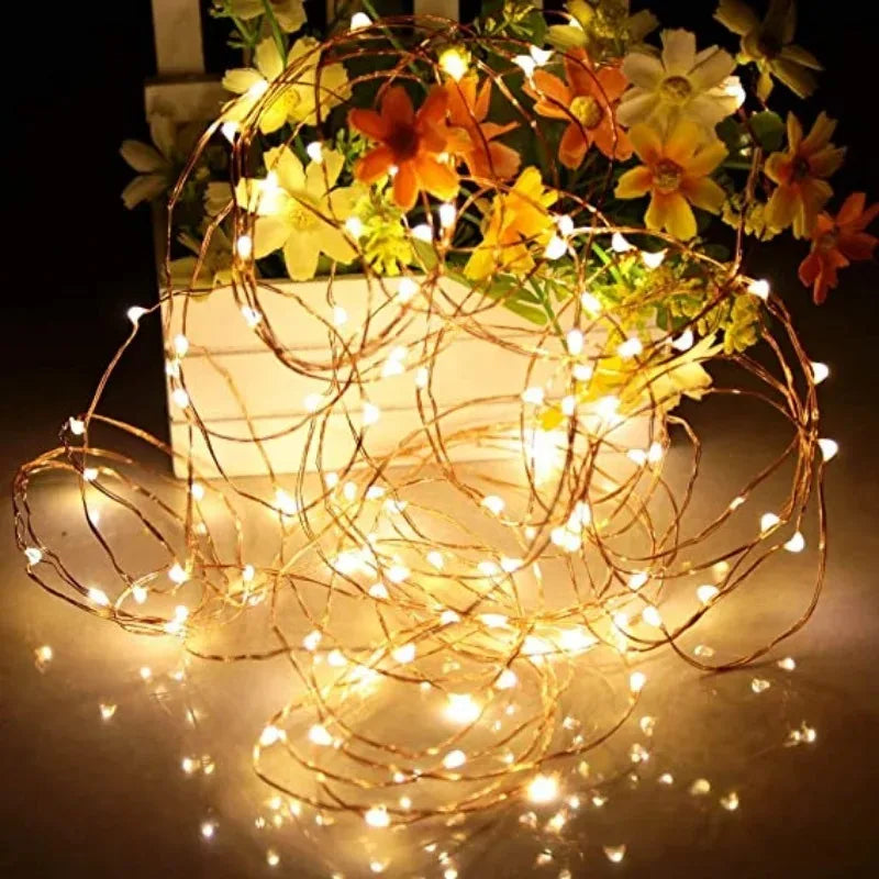 Decorative Fairy String Lights