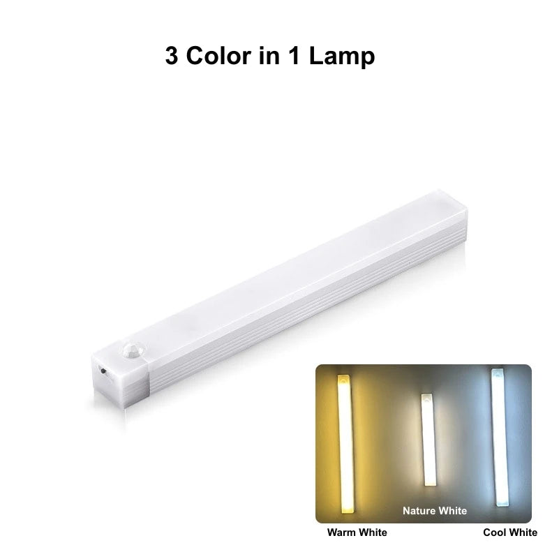 Decorative Light