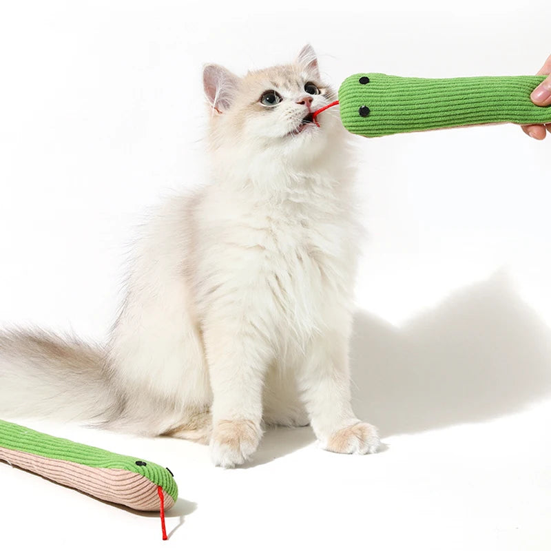 Pet Toy