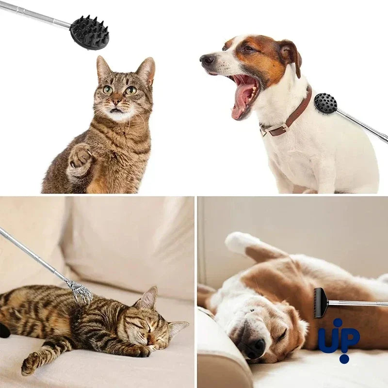 Back Scratcher