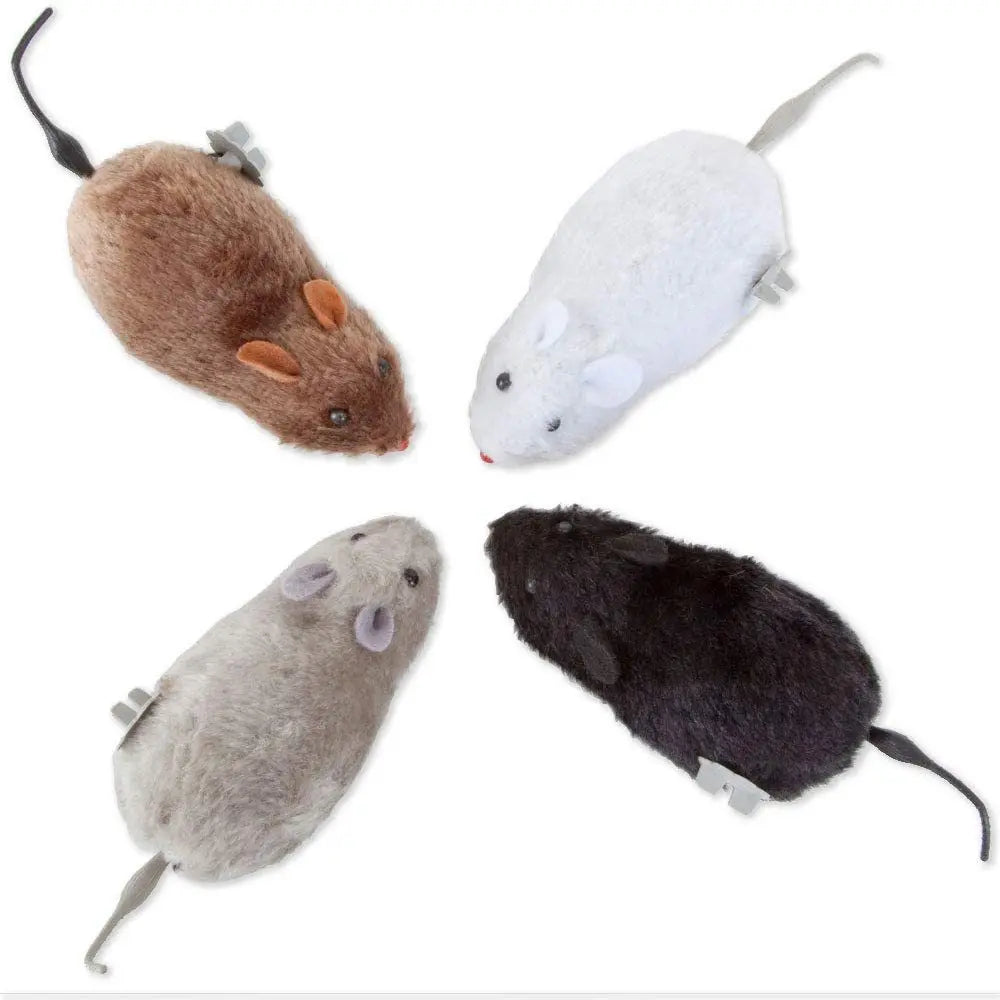 Pet Toy