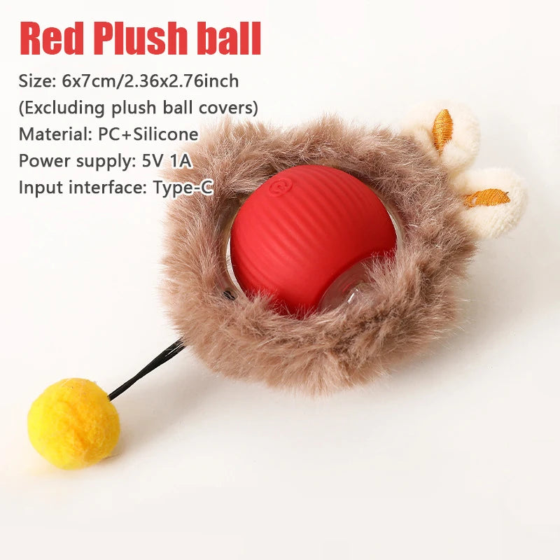Pet Toy