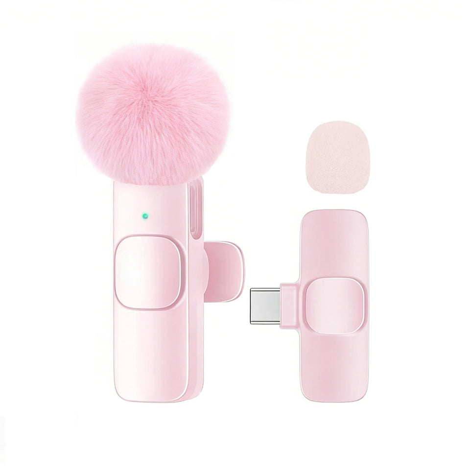Microphone