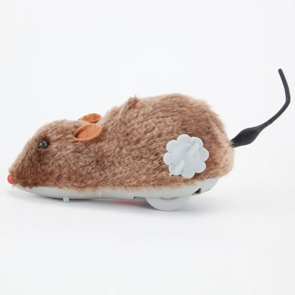 Pet Toy