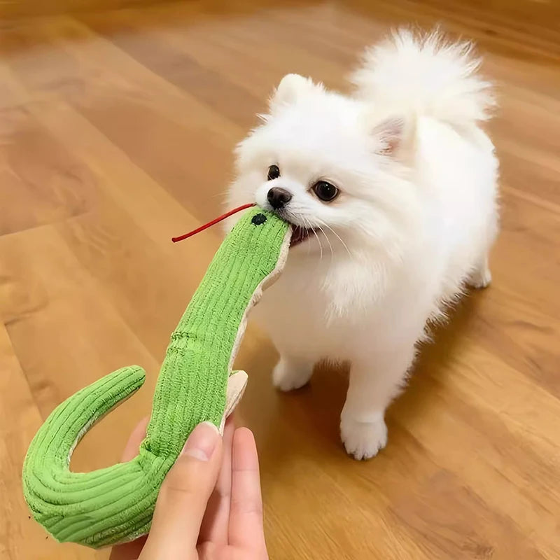 Pet Toy