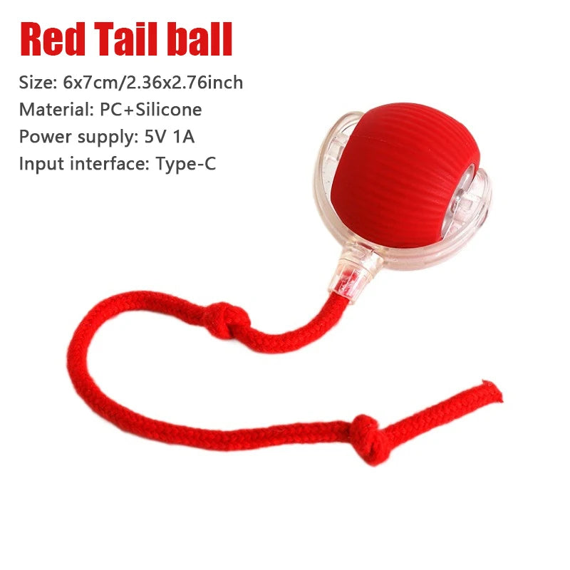 Pet Toy