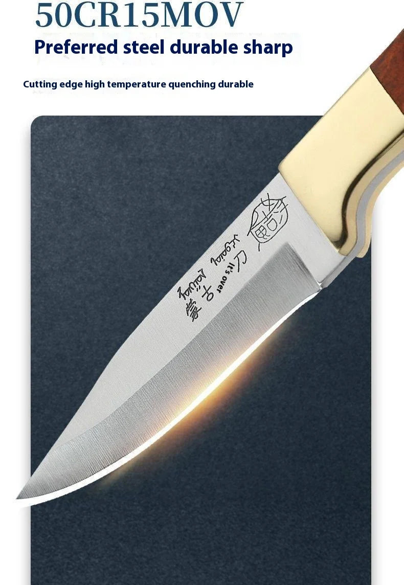Compact Kitchen and Barbecue Knife