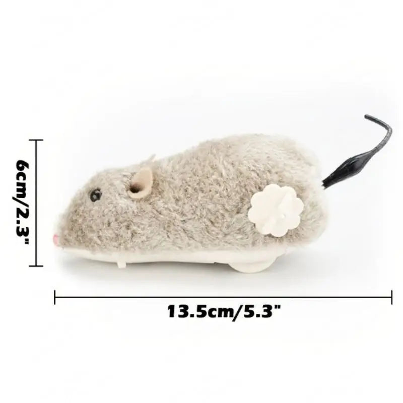 Pet Toy