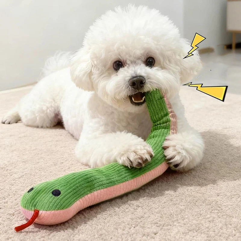 Pet Toy