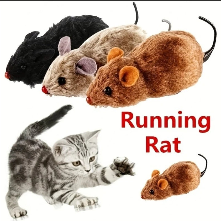 Pet Toy