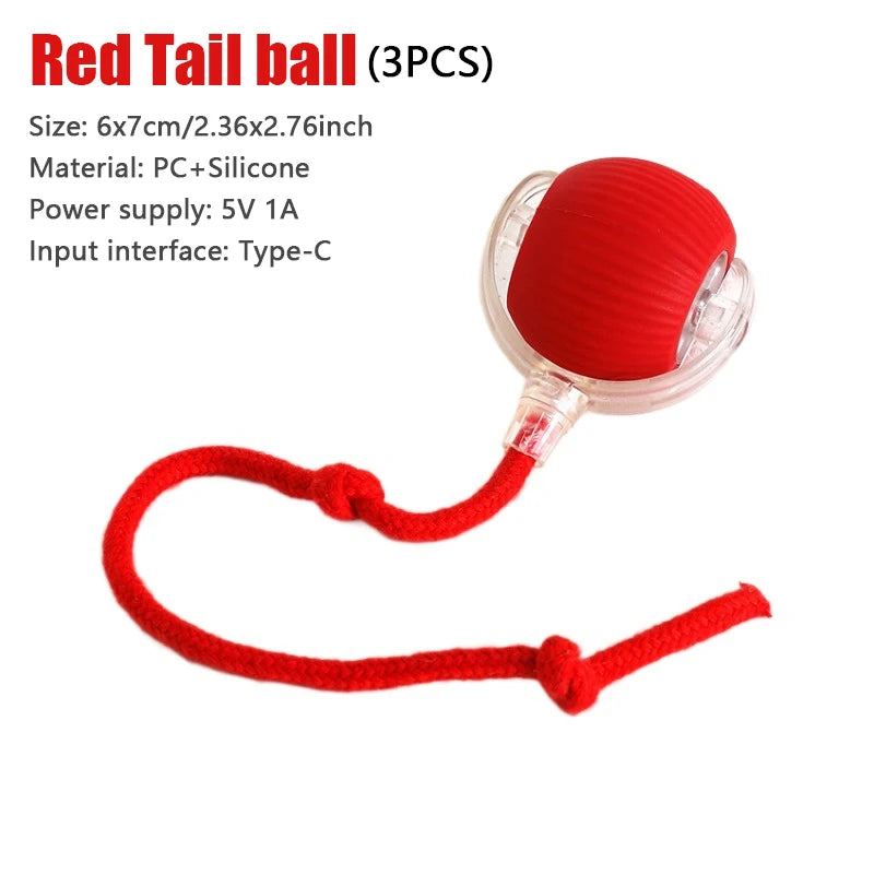 Pet Toy