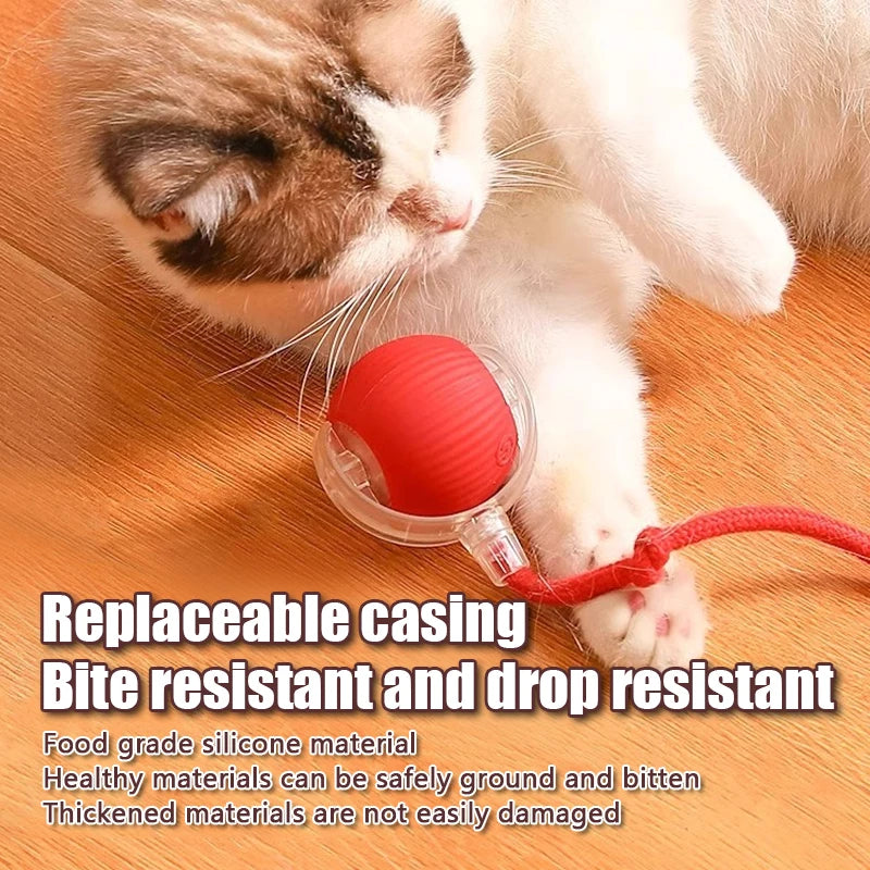 Pet Toy