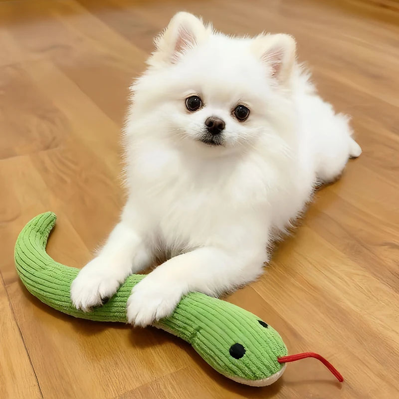 Pet Toy