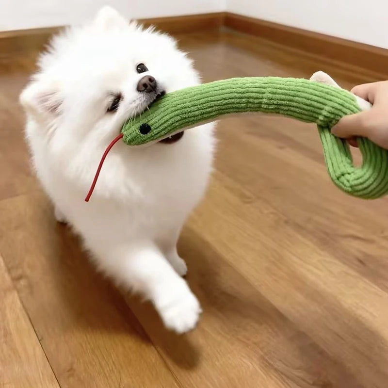 Pet Toy