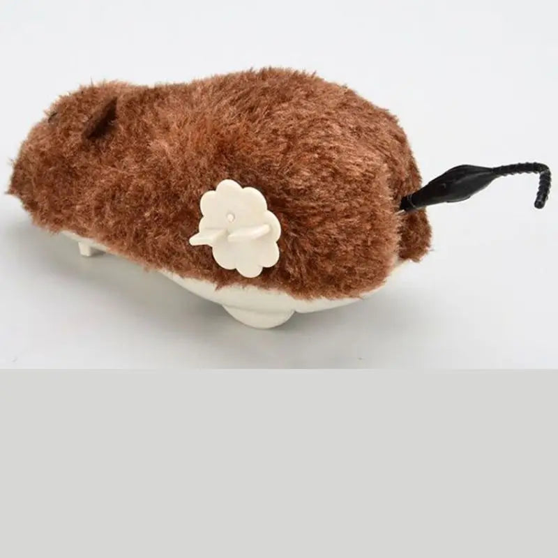 Pet Toy