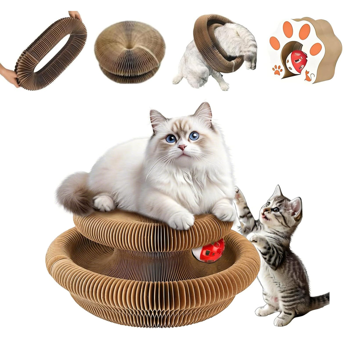 Accordion Cat Scratcher Toy